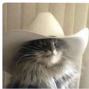 Meet your Posher, Edwardand